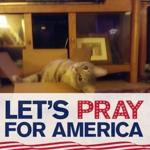 Meet your Posher, Joyce